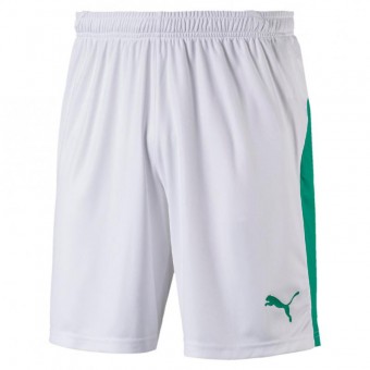 PUMA LIGA Shorts Trikotshorts Puma White-Pepper Green | XL