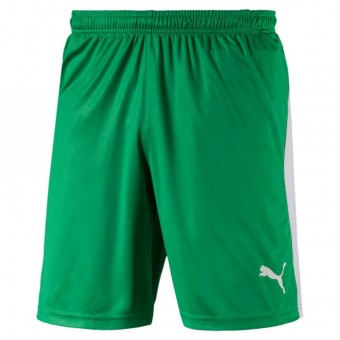 PUMA LIGA Shorts Trikotshorts Bright Green-Puma White | L